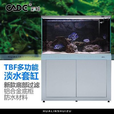 秦皇島制作魚缸的廠家在哪里啊電話