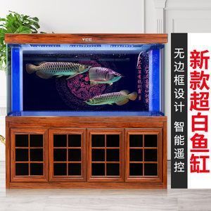 德州觀賞魚批發(fā)市場電話號(hào)碼查詢（德州觀賞魚批發(fā)市場電話號(hào)碼查詢地址）