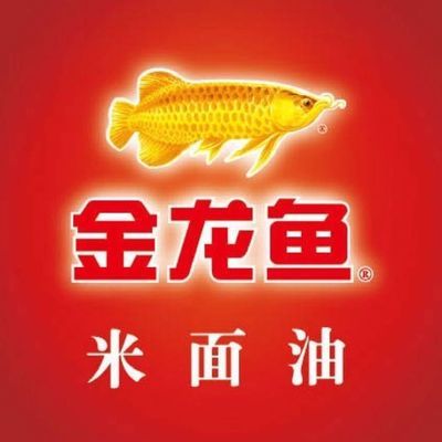 魚(yú)缸里水發(fā)黃怎么處理（魚(yú)缸里水發(fā)黃怎么處理好）