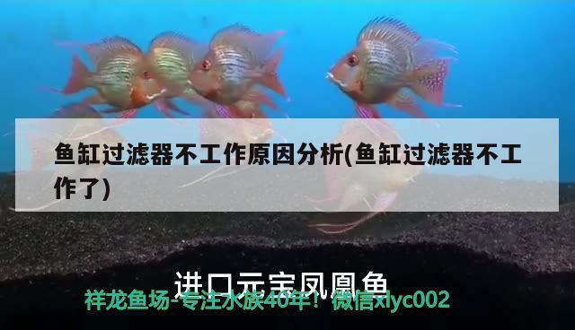 浴室放魚(yú)缸好嗎（浴室放魚(yú)缸好嗎風(fēng)水好嗎）