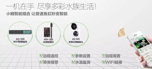 商丘修魚缸的電話（商丘修魚缸的電話號碼） 其他品牌魚缸