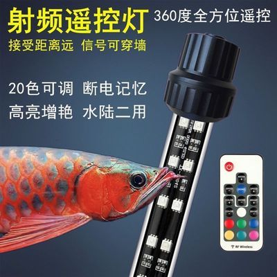 鱼缸 浮萍过多（鱼缸 浮萍过多会怎么样）