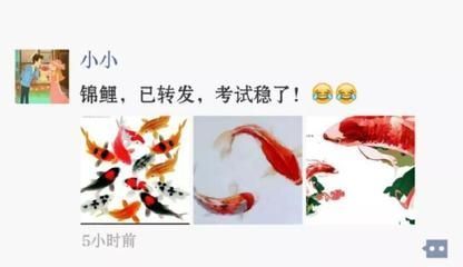 怎么自制魚(yú)缸（怎么自制魚(yú)缸過(guò)濾器特別簡(jiǎn)單） 過(guò)背金龍魚(yú)