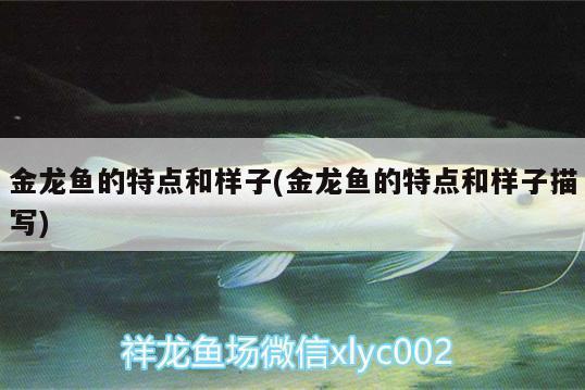 濰坊魚缸批發(fā)廠家直銷價(jià)格表大全 水族問答 第2張