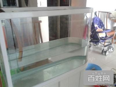 2米魚缸樓板能承受住嗎（兩米魚缸樓板能承受嗎） 魚缸百科