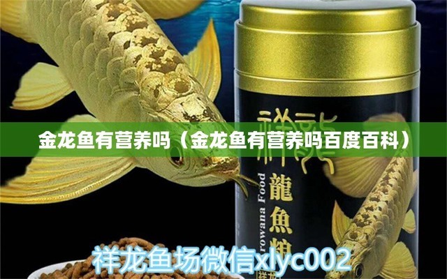 金龍魚對身體好嗎：金龍魚的營養(yǎng)價值和對身體的潛在益處金龍魚的食用安全指南 龍魚百科 第3張