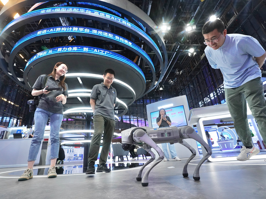 北京市老房改造又不改的住户今后责任谁承担(北京市老房改造中不进行改造的住户) 装饰幕墙施工 第3张 北京市老房改造又不改的住户今后责任谁承担(北京市老房改造中不进行改造的住户) 装饰幕墙施工 第3张