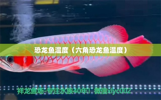 平遠縣紅運水族店（平遠縣紅運水族店電話） 全國水族館企業(yè)名錄