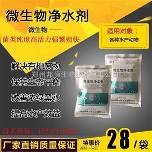 鱼嘴巴一张一合在干嘛：鱼嘴巴一张一合急促是缺氧吗