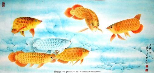 丹東市振興區(qū)金丹觀賞魚店（丹東市振興區(qū)金丹觀賞魚店是一家位于遼寧省丹東市專門銷售觀賞魚的店鋪） 水族周邊