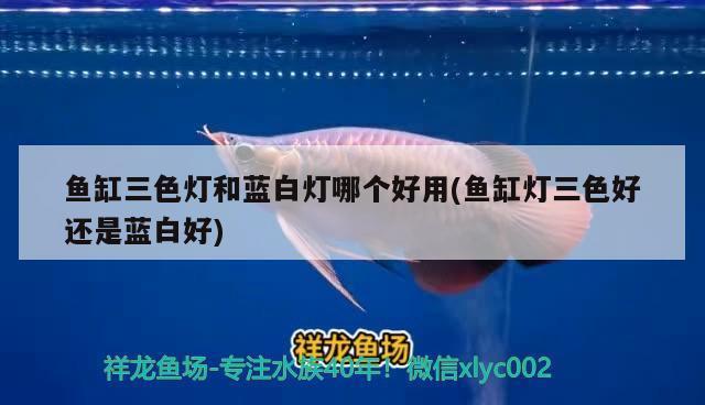 凌源市水空間水族箱門市（凌源水族館）