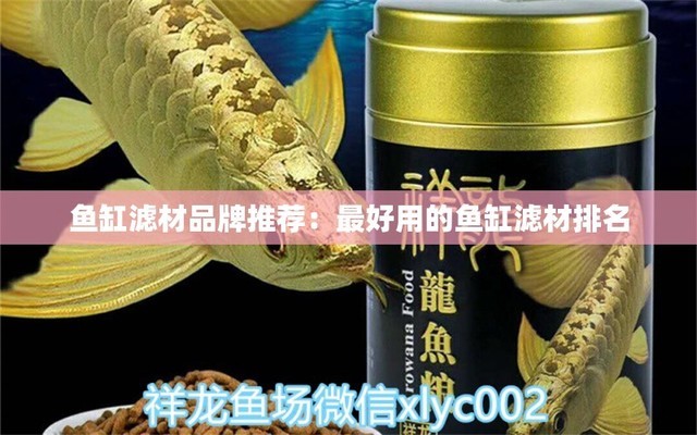 龍魚配虎魚好還是飛鳳好（龍魚配虎魚好還是飛鳳好呢）