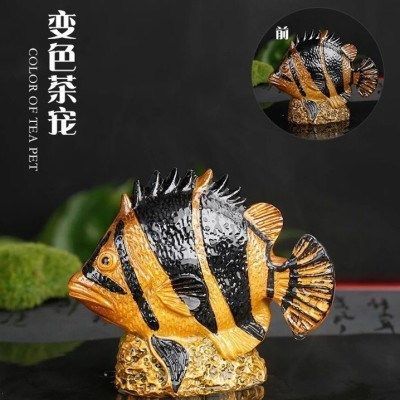 紅龍魚的品種與區(qū)別圖解視頻大全（紅龍魚的品種與區(qū)別圖解視頻大全下載）