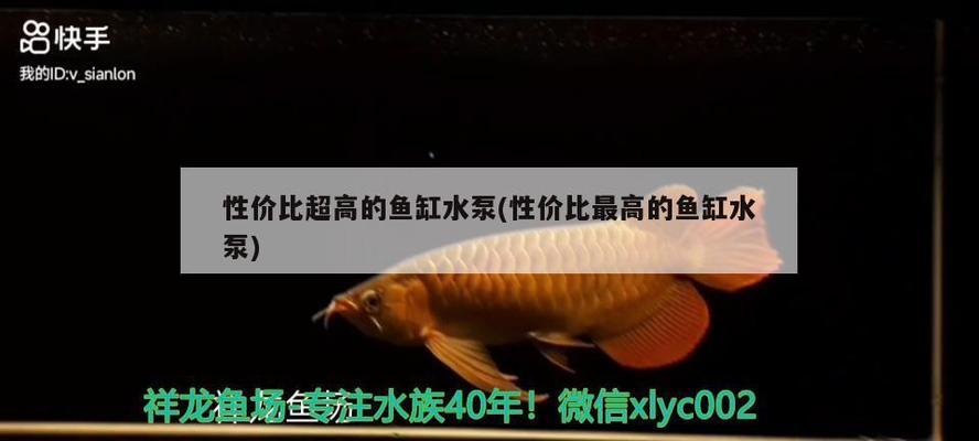 20cm的魚缸有多大（20cm長寬魚缸是多少升）