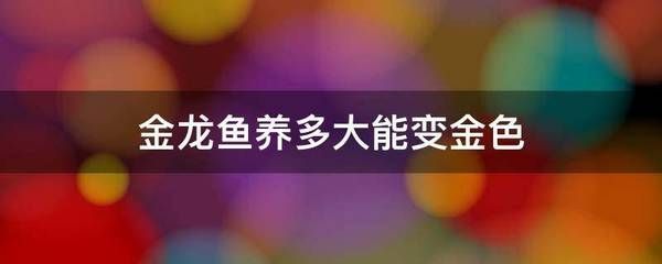 唐山觀賞魚市場求大師幫助～～～