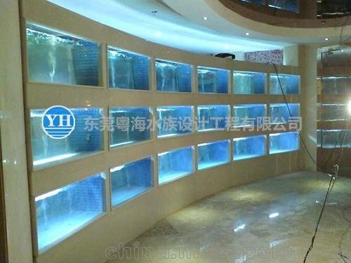 如何用礦泉水瓶做魚缸過濾器（如何用礦泉水瓶做魚缸過濾器視頻）