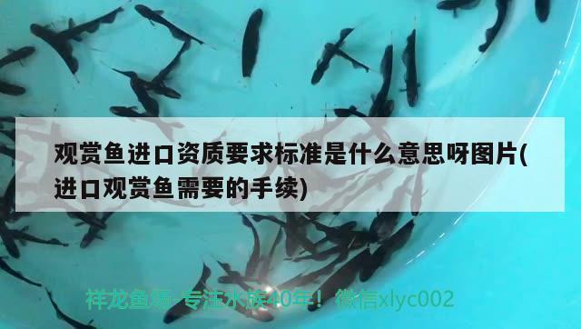 大廠回族自治縣祁各莊鎮(zhèn)孔雀莊園腰子水族用品店（大廠孔雀園在哪里）