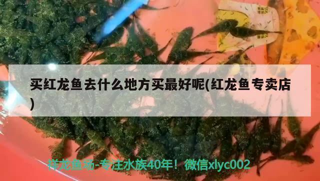 玉環(huán)縣森木林水族館（玉環(huán)縣森木林水族館電話） 全國水族館企業(yè)名錄