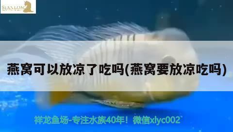 茶水倒入鱼缸鱼会死吗为什么不死