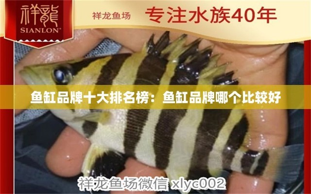 福州魚缸售后維護(hù)電話 其他品牌魚缸