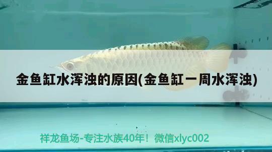 湘潭魚(yú)缸售后維護(hù)電話地址（湘潭魚(yú)缸售后維護(hù)電話地址查詢） 其他品牌魚(yú)缸