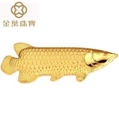 龍魚燈在水里好還是不在水里好（龍魚燈在水里好還是不在水里好呢）