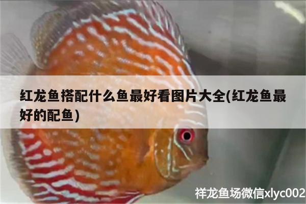 生態(tài)魚缸的價位一般是多少合適