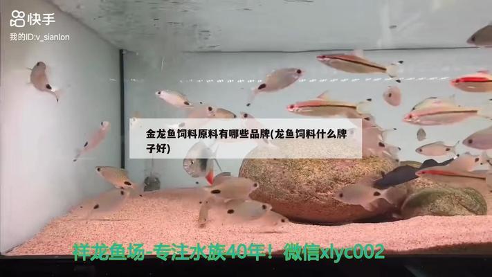 西固區(qū)尕姚花鳥魚蟲店（西固區(qū)尕姚花鳥魚蟲店電話）