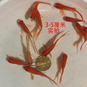 晉城市懷覃里商貿(mào)有限責(zé)任公司（晉城懷覃里怎么樣） 全國水族館企業(yè)名錄