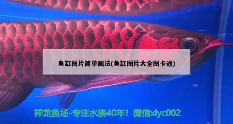 飄逸的觀賞魚視頻大全播放