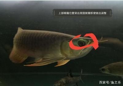 寧都縣梅江鎮(zhèn)風(fēng)生水族館：寧都風(fēng)水村