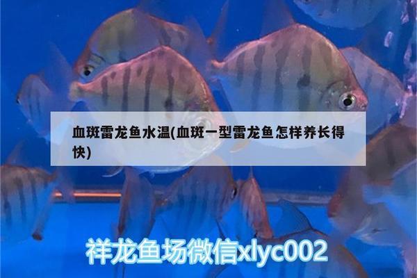 神池縣森森水族（神池縣森森水族館電話） 全國水族館企業(yè)名錄