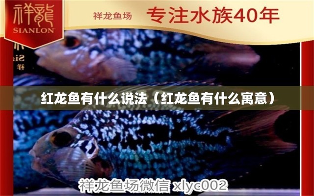 怎樣使紅龍魚食欲增加呢視頻教學(xué)（怎樣使紅龍魚食欲增加呢視頻教學(xué)下載）