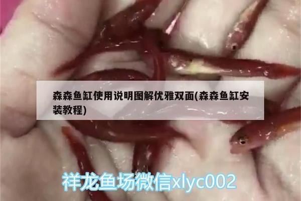 龙鱼蒙眼的原因和治疗方法视频讲解图片（龙鱼蒙眼的原因和治疗方法视频讲解图片大全）