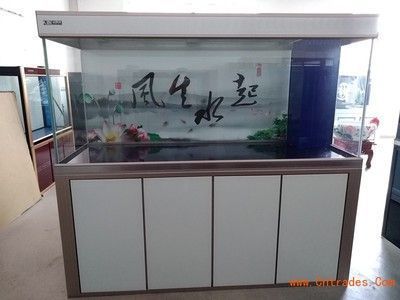 昌吉魚缸批發(fā)市場地址（昌吉魚缸批發(fā)市場地址在哪里）