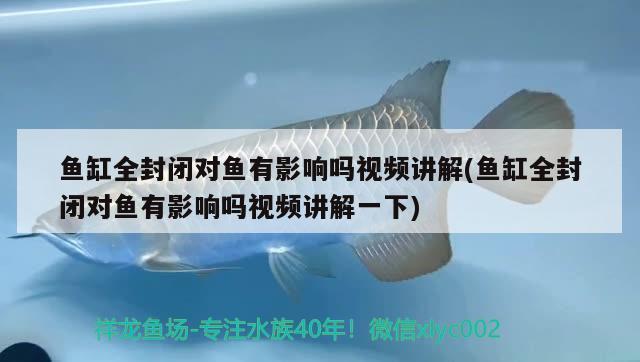 宜都賣觀賞魚缸的地方有哪些呢電話（宜都賣觀賞魚缸的地方有哪些呢電話號碼）