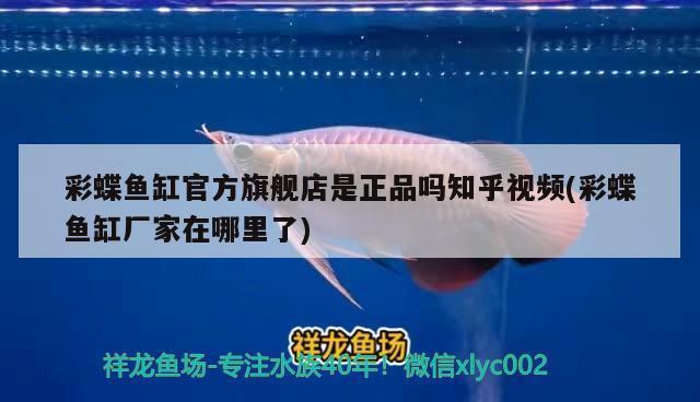 龍魚水溫多少度合適養(yǎng)魚（龍魚水溫多少度合適養(yǎng)魚呢）