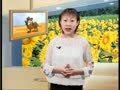 新语文小天才 新语文小天才04-第二十四课沙漠之旅