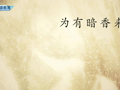 古代诗词精彩鉴赏 《梅花》崔道融