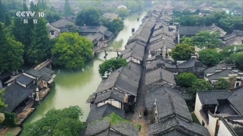 味道 《味道》 20250123 无肉不欢（4）