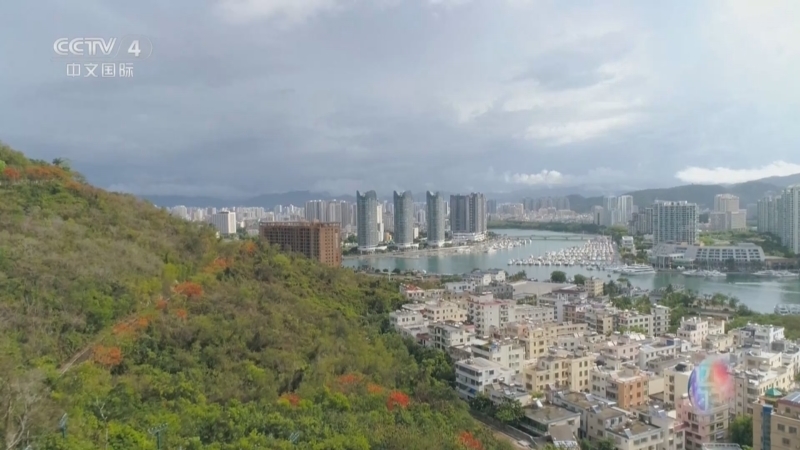 远方的家 《远方的家》 20250808 海与城的交响 守护三亚的蓝色未来