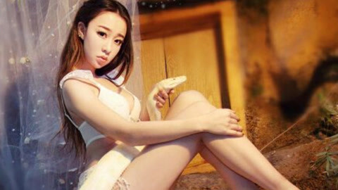 算命先生便利店 美国毒蛇狂热者与60只蛇同居 被咬不下100次