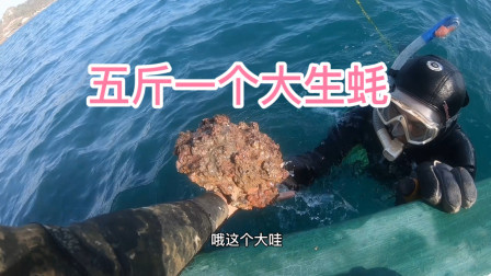 海南岛最大的野生生蚝，五斤一个，看看阿镭做海鲜晚餐