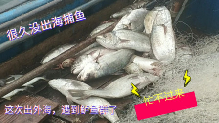 南澳岛赶海日记 彪哥外海捕鱼奋战2天1夜，遇到鲈鱼群上个不停，整船的野生鲈鱼
