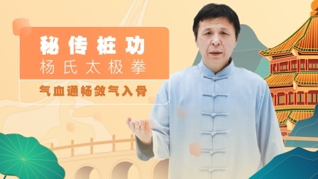 第十式 排毒桩 精讲