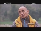 生财有道 《生财有道》 20150210 吃桑叶的猪“好赚钱”