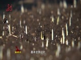 全省新闻联播 《全省新闻联播》 20160411