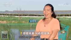 致富经 [致富经]恩爱夫妻 玩着把钱赚 20180827