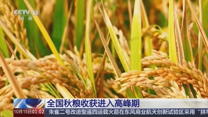 《新闻直播间》 20261015 01:00