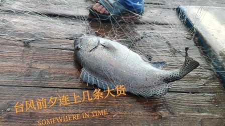 南澳岛赶海日记 台风来临前夕，彪哥在外海连续上好几条大货，赶紧回家卖鱼换钱